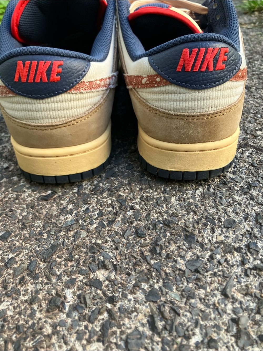 Dunk lo - Picture 6 of 6